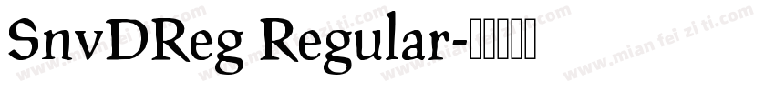 SnvDReg Regular字体转换